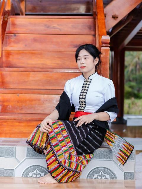 culture 7331313