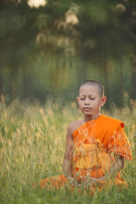 monk 7287041